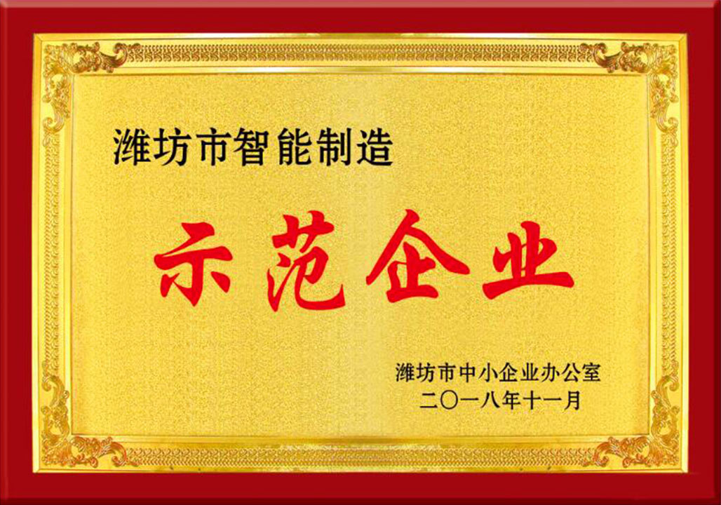 濰坊市(shì)智能制(zhì)造示範(fan)企業