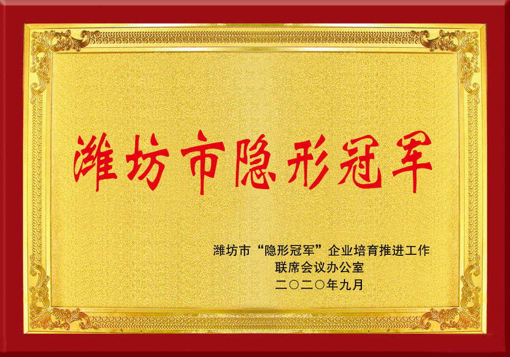 濰坊市(shi)隐形冠(guan)軍